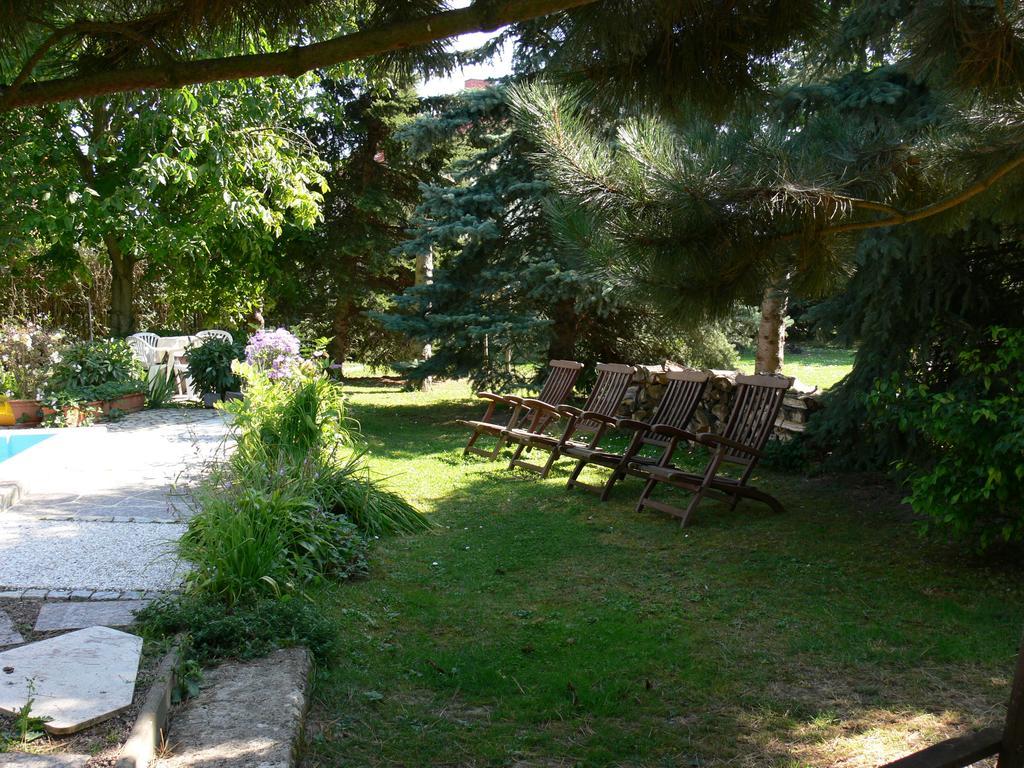 Landferienhaus Pension Erika Mühlhausen Oda fotoğraf